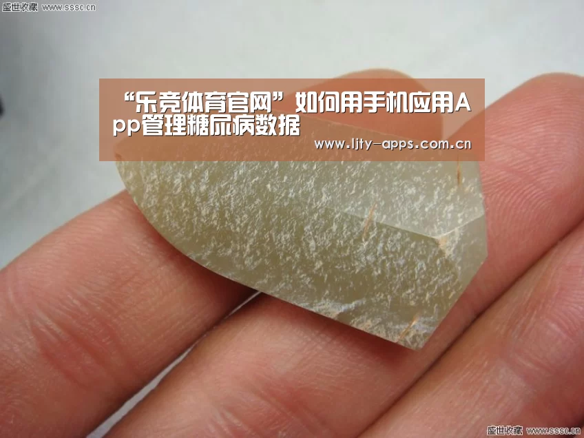 “乐竞体育官网”如何用手机应用App管理糖尿病数据(图3) 乐竞体育官网
