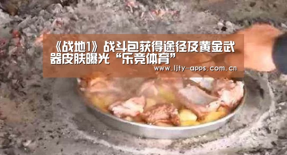 《战地1》战斗包获得途径及黄金武器皮肤曝光“乐竞体育”(图4) 乐竞体育下载