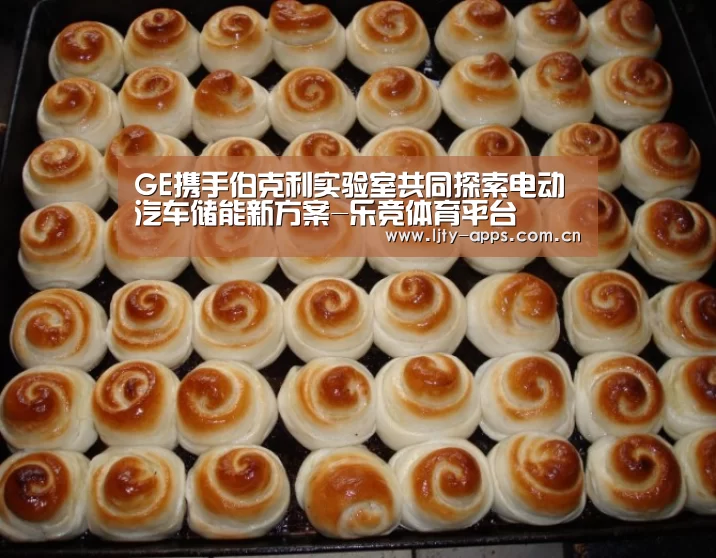 GE携手伯克利实验室共同探索电动汽车储能新方案-乐竞体育平台(图1) 乐竞体育下载